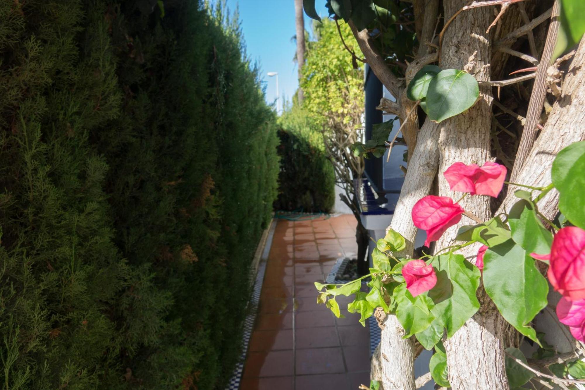 Apartamento Alextia La Barrosa Chiclana de la Frontera Bagian luar foto